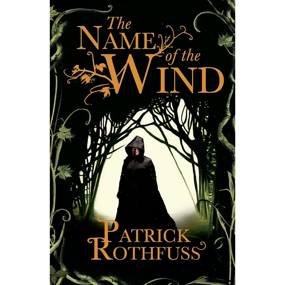 @Miniexpress.lk - 2026-07-14T160732.233 The Name of the Wind Book - Image 1