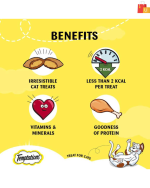 Irresistible Temptations Sea food Cat Treats – A Tasty Reward for Your Kitty - Image 4