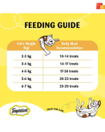 Irresistible Temptations Chicken Cat Treats – A Tasty Reward for Your Kitty - Image 2