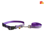 Collar Set for Puppies and cats (Purple) - Image 3