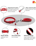 Collar Set for Puppies and cats (Purple) - Image 2