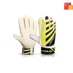 VECTOR X Goalkeeping Gloves