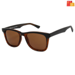 Lenskart Polarized, UV Protection Wayfarer Sunglasses (51)  (For Men & Women, Brown)