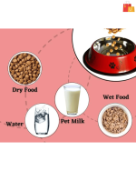 450ML Water & Feeding Bowl for Dogs & Cats - Image 3