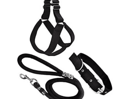 Dog Harness and Leash Set for Secure Walking (Medium, Black)