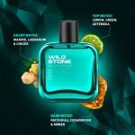 Wild Stone Edge Parfum For Men - 100ml - Image 2