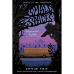 Small Spaces Book