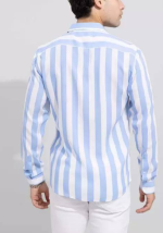 Men Regular Fit Striped Formal Shirt - Image 2