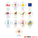 Gurukanth All in One Flash Cards for Kids (Non-Tearable Flashcards - Waterproof) (Multicolor) - Image 2