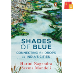 Shades of Blue
