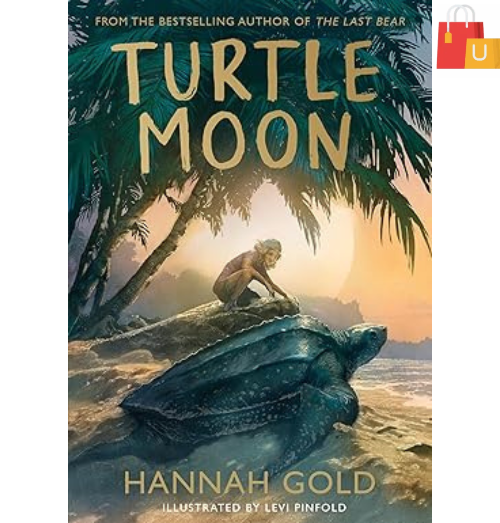 Untitled design - 2024-12-31T235134.887 Turtle Moon