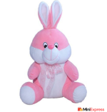 Celebrate Love with Eston’s 10-Piece Soft Toy Combo – Perfect for Birthdays & Anniversaries! - Image 2