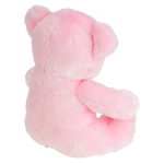 Pink Teddy Bear