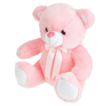 Pink Teddy Bear