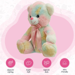Multicolor Soft Teddy Bear
