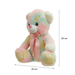 Multicolor Soft Teddy Bear