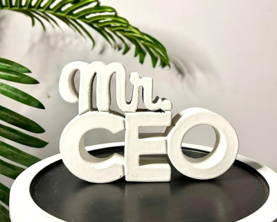 Mr. CEO Quote