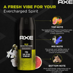AXE Men's Bodyspray