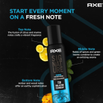 AXE Signature Champion Body Spray