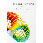Thinking in Systems