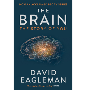 The Brain