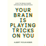 Your Brain
