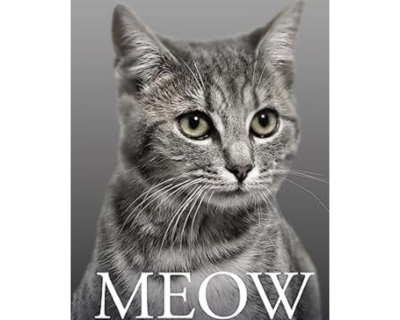 Meow
