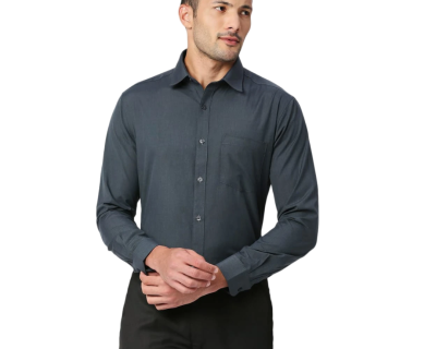 Casual Regular Fit Shirt