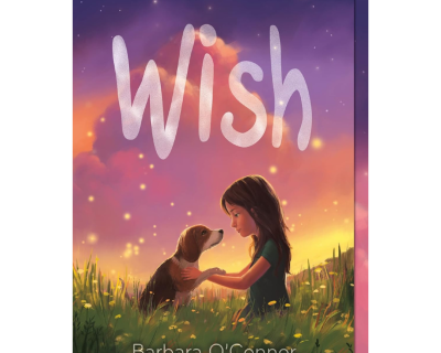 Wish Paperback