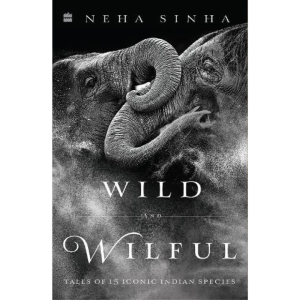Wild And Wilful