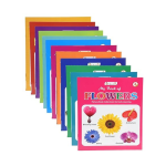 Picture Books Collection