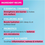 DOT & KEY Barrier Repair+Hydrating Gentle Face Wash With Probiotic For Dry Skin - Image 2