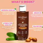 Dot & Key Moringa & Argan Hair Fall Control Shampoo For Dull & Thinning Hair 200ml - Image 3