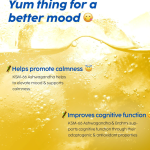 PLIX- THE PLANT FIX  KSM-66 Ashwagandha Gold Standard Effervescent Tablet for Stress Relief, Mental Clarity - Image 4