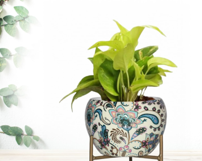 CINAGRO Metal Vase Planter Pot