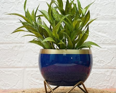 Metal Pots