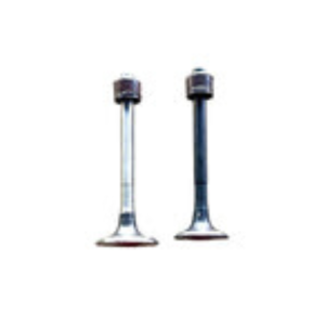 Engine Valve Set