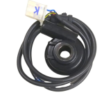 Digital worm assembly