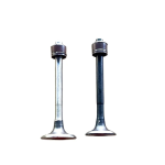 Engine Valve Set