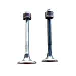 Engine Valve Set