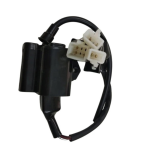 Ignitor for TVS 