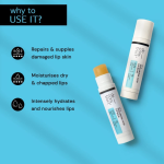 Deconstruct Hyaluronic Acid Lip Balm With 1% Cupuacu Butter For Women & Men | 4gm - Image 2