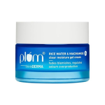 Plum 2% Niacinamide