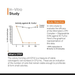 Minimalist Anti-Dandruff Hair Serum For Women & Men - 50ml - Image 2