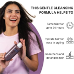 Frizz Shampoo