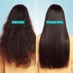 Pilgrim Korean Argan Oil Hair Mask with White Lotus & Camellia For Dry Damaged Hair - 200ml - Image 5