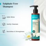 Pilgrim Mild Sulphate Free Shampoo (Argan Oil) For Dry Frizzy Hair - 200ml - Image 3