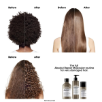L'Oréal Professionnel Absolut Repair