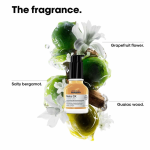 Metal DX Concentrated Oil