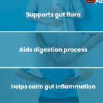 SwisseMe Probiotics Prebiotic Gummies